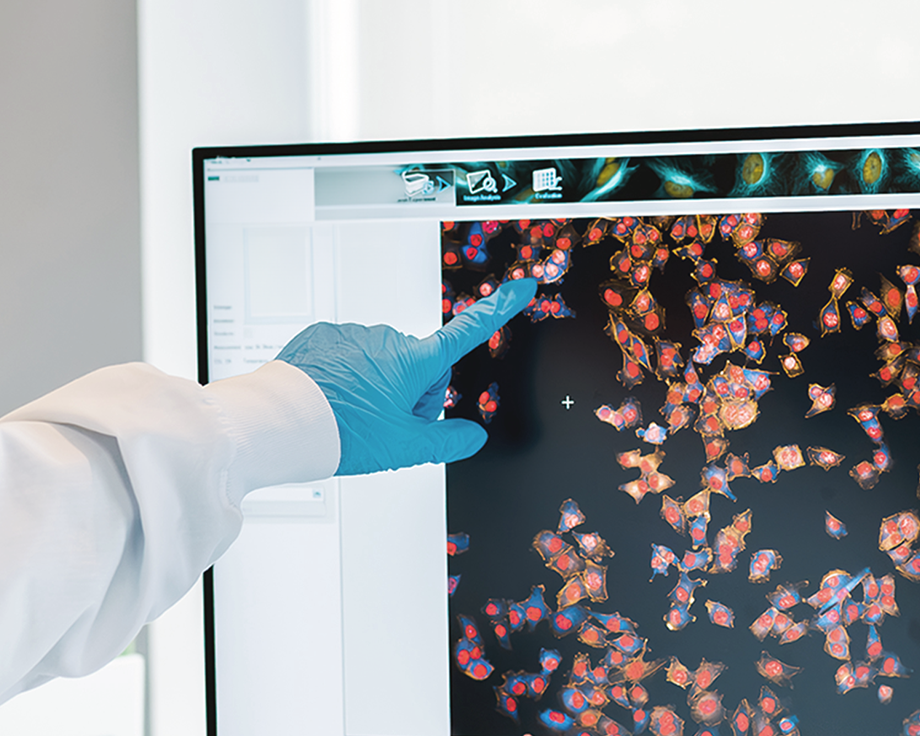Photo thumbnail for Stifel 2026 Virtual Immunology and Inflammation Forum